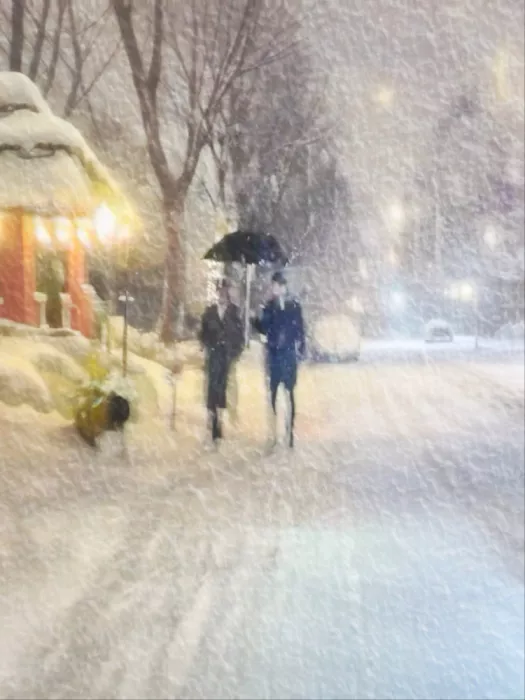 Weiwei: Giorno di neve