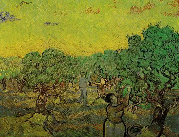 Gogh, Vincent van: Olivový hájek s česáči