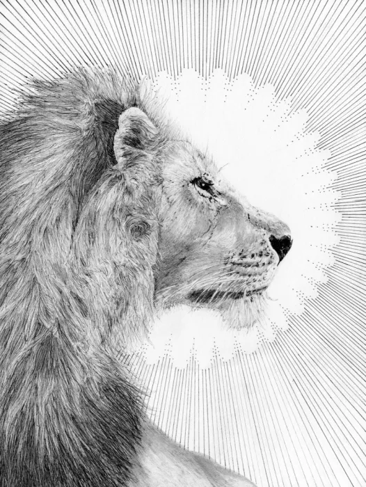 Mazur, EC: Soleil et lion