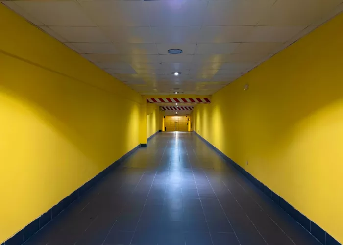 Bardají, L. Rafael: Exit