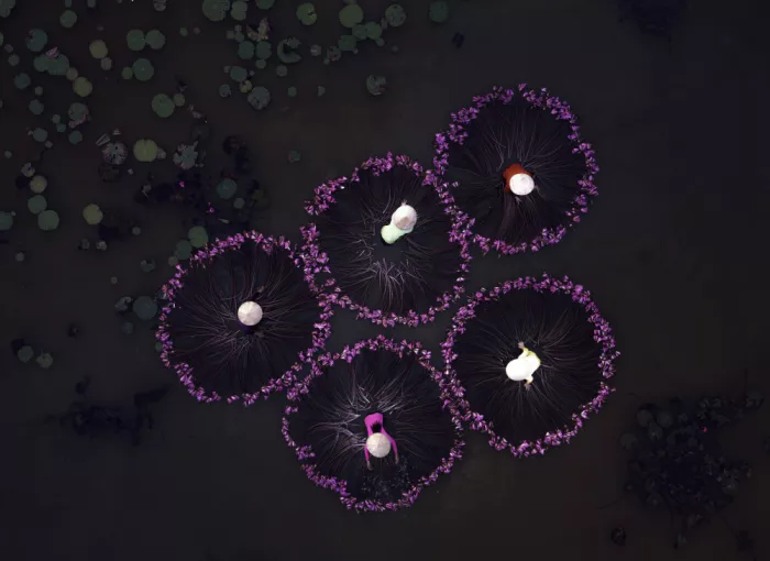 KUMAR, KIRAN G.: Nenúfares del Delta del Mekong