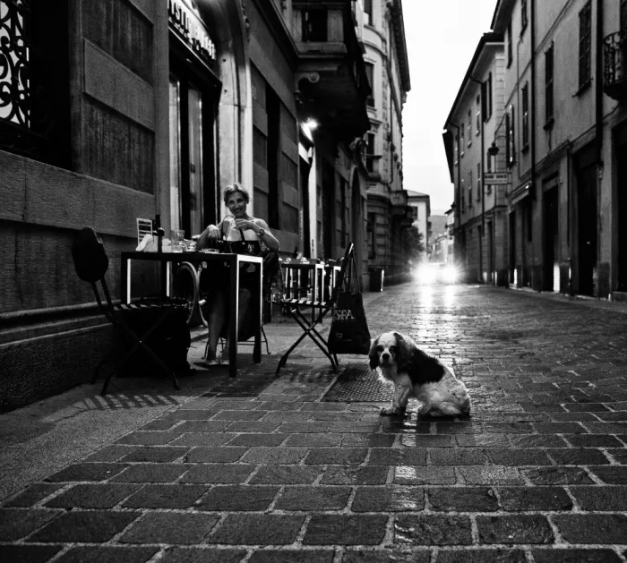 Oncete, Julien: La vie nocturne de Lugano