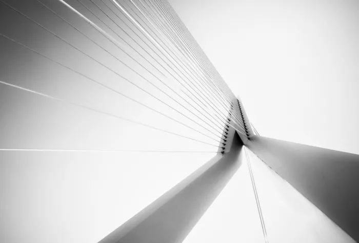 MARTÍNEZ, CARLOS JUAN: Ponte Erasmus