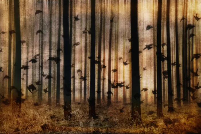 Lee, van Hilda: Ohne Titel