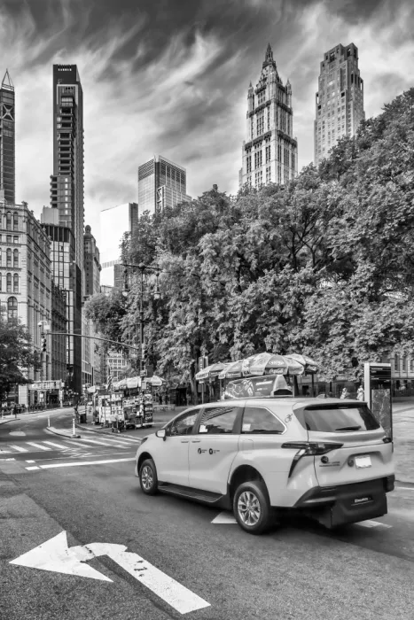 Viola, Melanie: Ulična scéna v New Yorku s budovou Woolworth Building