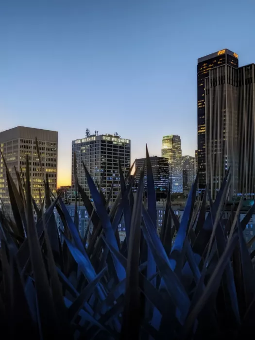 Windeknecht, Tom: Úchvatná silueta Los Angeles při soumraku