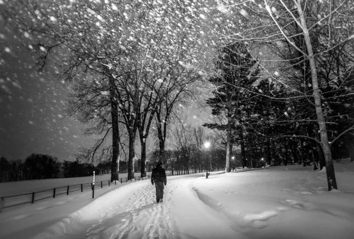 Ôtomo, Michiko: Il camminante solitario