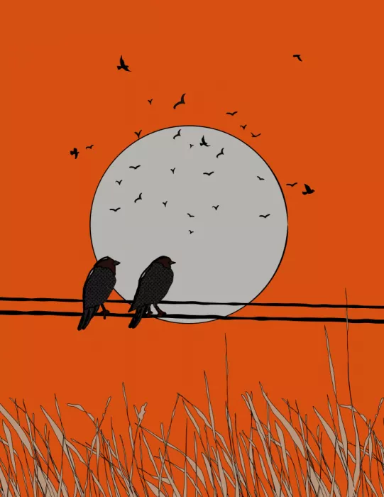 Nicholas: Sunset Silhouettes