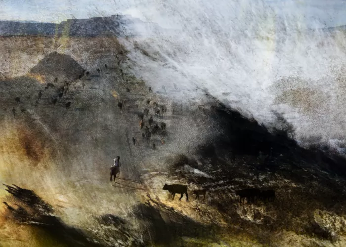 Dou, Shenshen: Ohne Titel