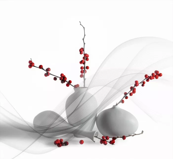 Zhong, John-Mei: Haricots rouges dans des vases blancs