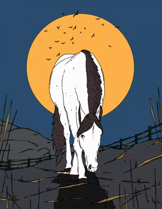 Nicholas: Cheval sur un fond orange vibrant éclairé par la lune