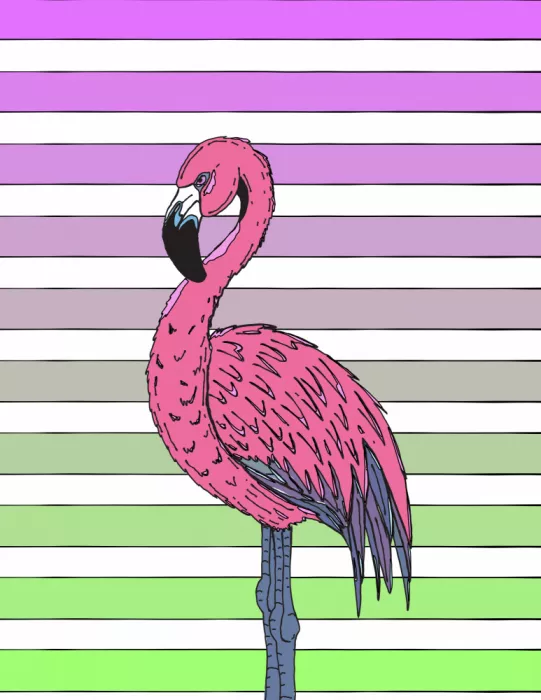 Nicholas: Vibrant Pink Feathers