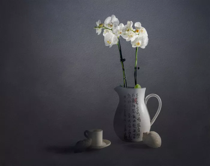 Zhong, John-Mei: Orchidée blanche
