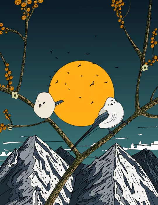 Nicholas: Oiseaux à longue queue