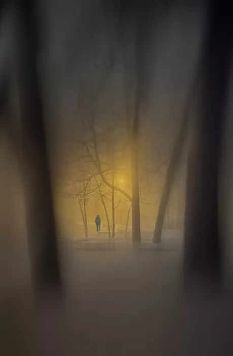 larryliu: La nebbia notturna