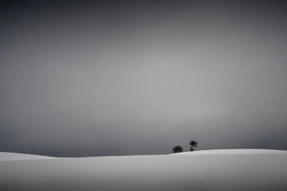 Wielicki, Przemek: Minimo invernale