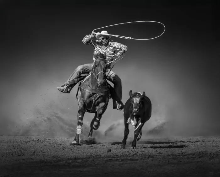 Wu, Irene: Chytání skotu na lasso