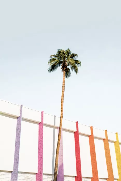 Pienaar, Kathrin: Barvy Palm Spring 2