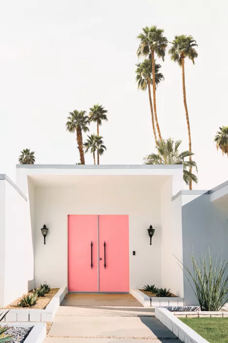 Pienaar, Kathrin: Palm Springs 3