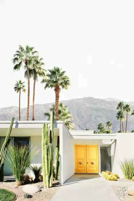 Pienaar, Kathrin: Palm Springs 2
