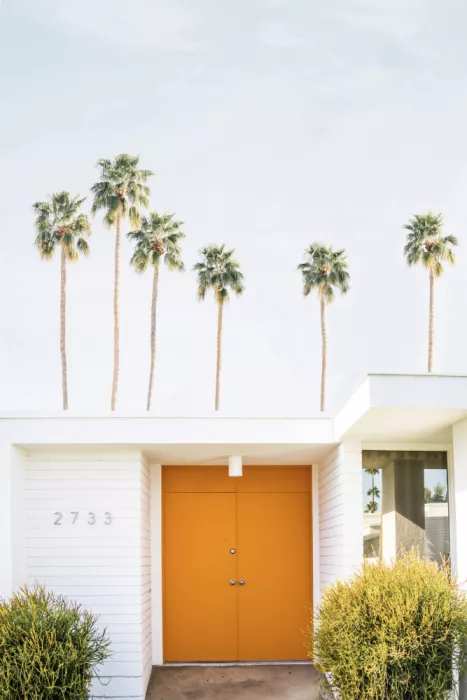 Pienaar, Kathrin: Palm Springs 1