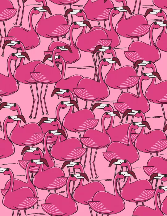 Nicholas: Flamants