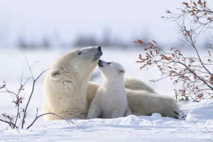 Qin, Xuemei: Herzlicher Moment