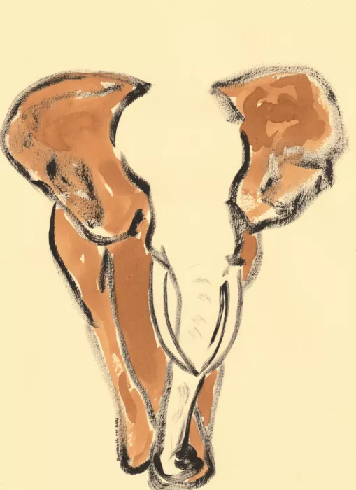 ch, Santhosh: Art Éléphant 17