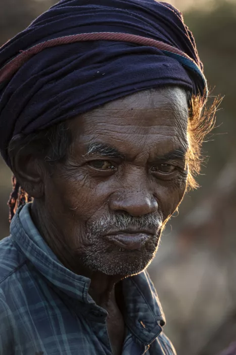 Molina, Elena: Bagno di luce dorata, Odisha