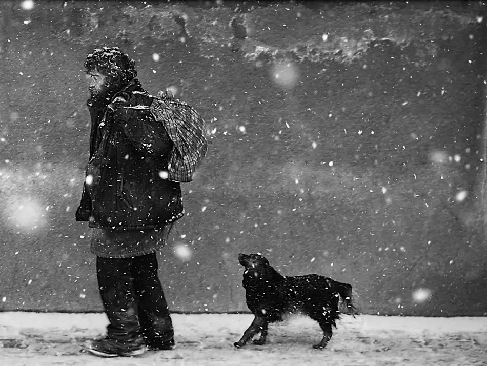 Gabor, Nicoleta: passeggeri invernali. la guida