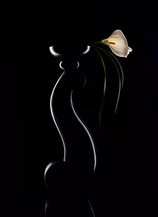 Mao, Dianne: Curve eleganti