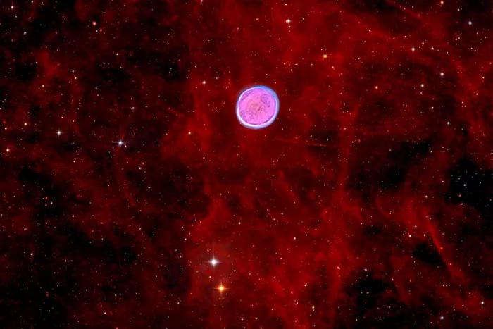 Chander, Vikas: La Nebulosa della Civetta