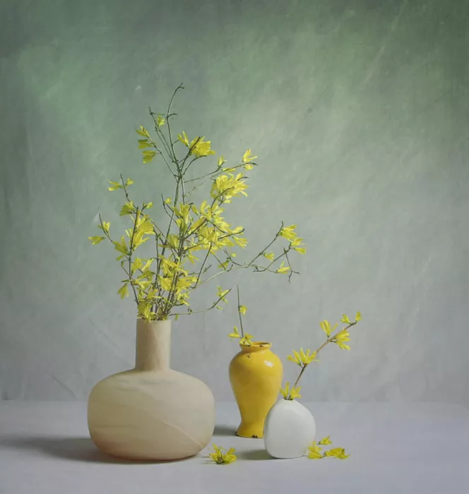 Zhou, Fangping: Forsythie in Blüte