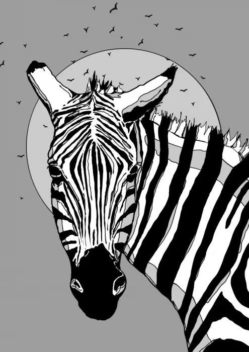 Nicholas: Zebra Striped for Life