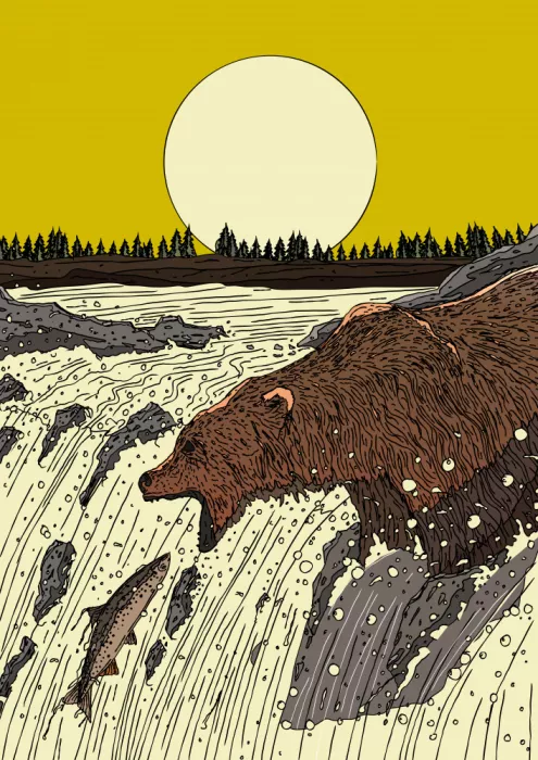 Nicholas: Ours dans la rivière