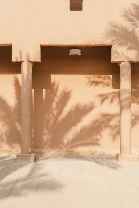Photolovers: Ombra di una palma su un muro di fango