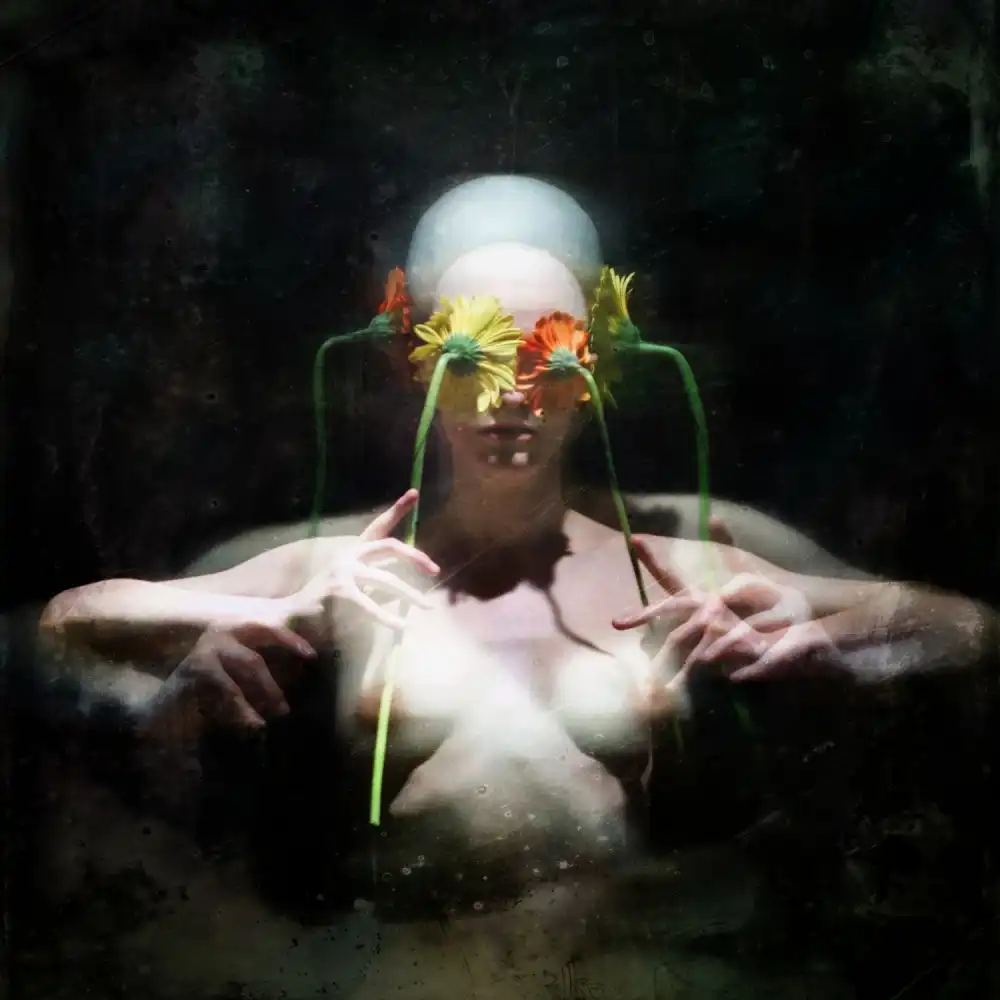 Vasiliev-Apostol, Yaroslav: Aquarium