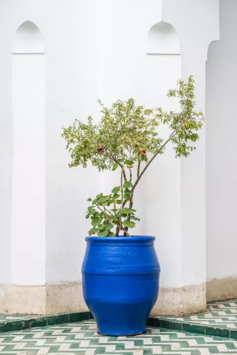 Photolovers: Melo in Marocco