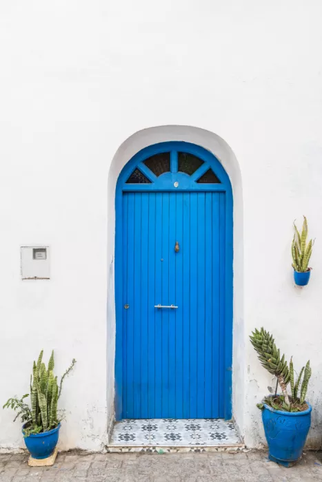 Photolovers: Porta blu con facciata botanica in Marocco