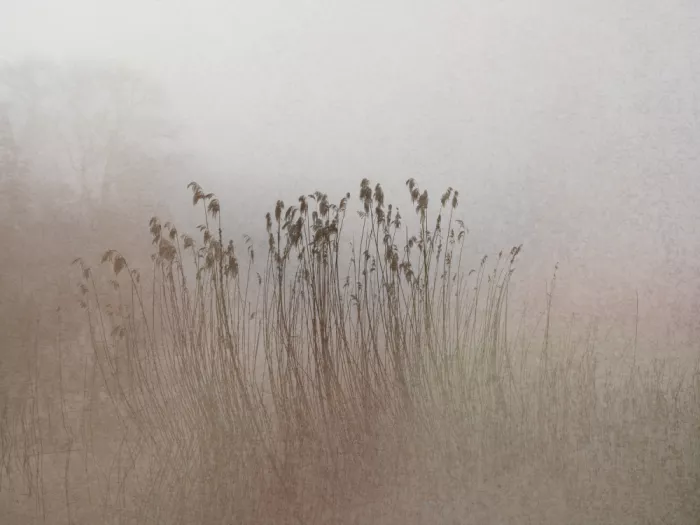 Imaginative: Sans titre
