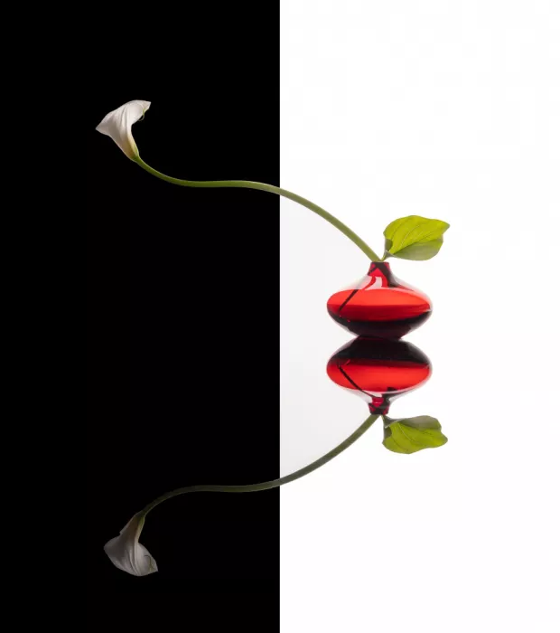 Mao, Dianne: Dal vaso rosso