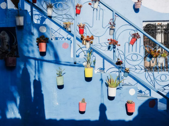 Photolovers: Fiori in Vaso in Marocco