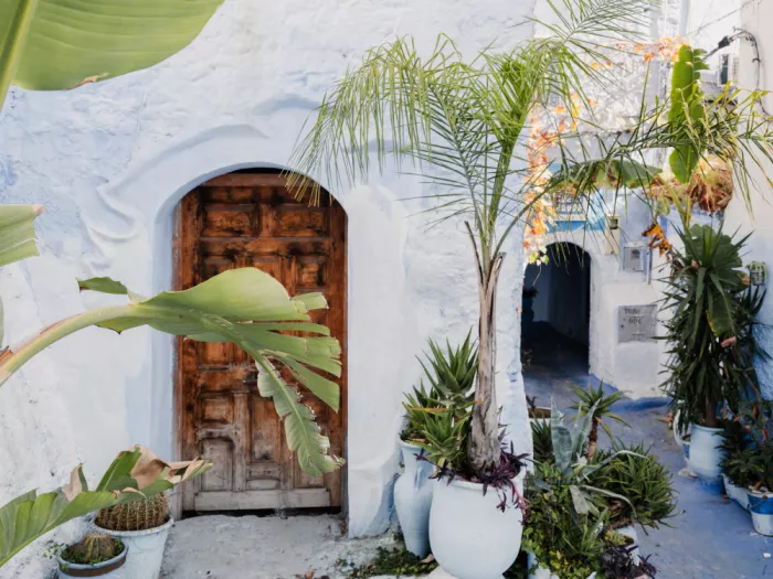 Photolovers: Ceramica e piante in Marocco