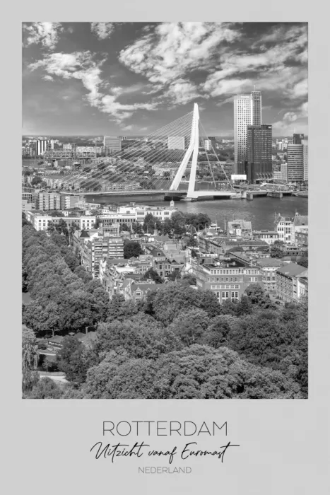 Viola, Melanie: ROTTERDAM Blick vom Euromast