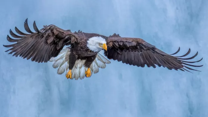 Zuo, Jun: Přistání u ledopádu