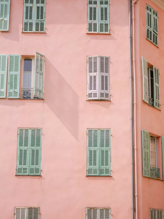 Zwart, Raisa: Edificio rosa