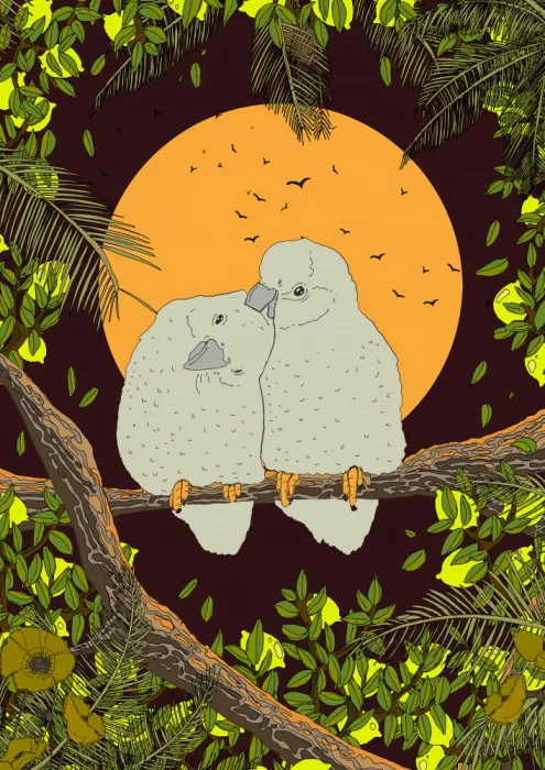 Nicholas: Oiseaux d