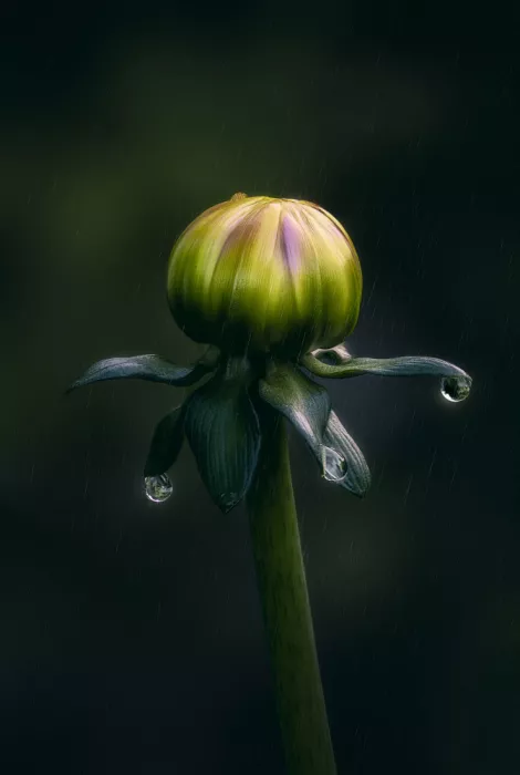 Ben.C.L: Ballerina nella pioggia