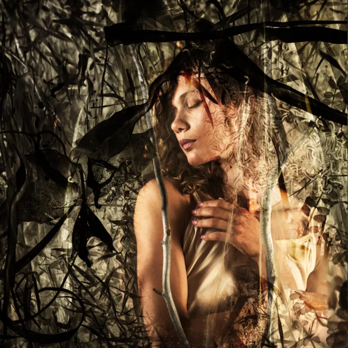 Pansky, Rachel: Ohne Titel