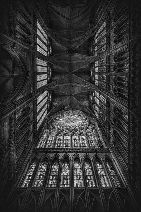 Yamamoto, Eiji: Cathédrale